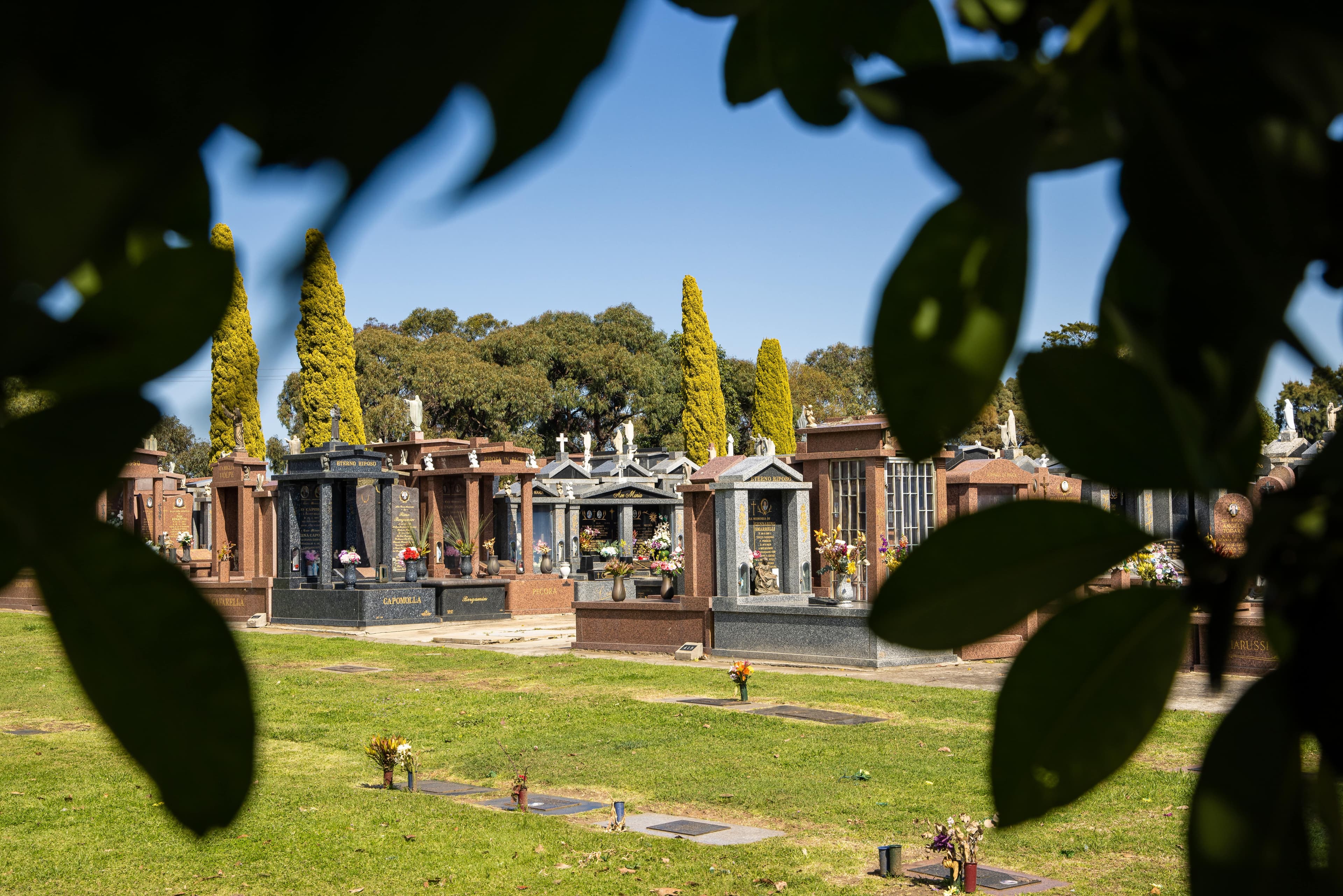 Double rows of monumental graves as seen through tree leaves