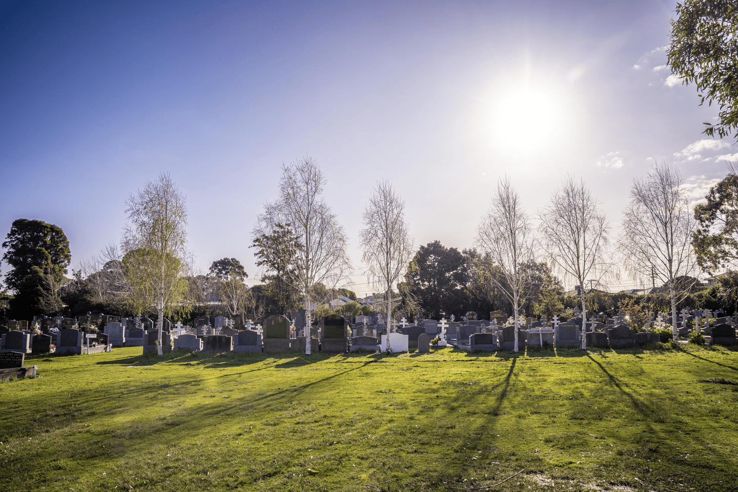 Tall trees scattered amongst headstones in lawn at Dandenong Community Cemetery