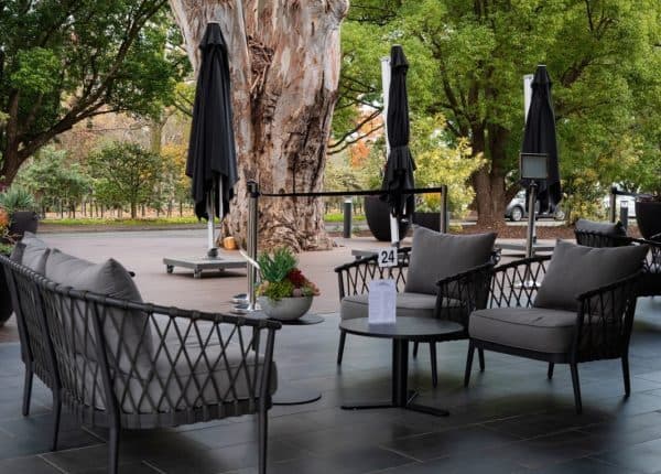 300-year-old red gum outside Café Vita et flores
