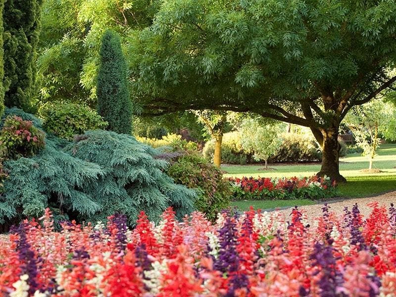 Pictur of garden