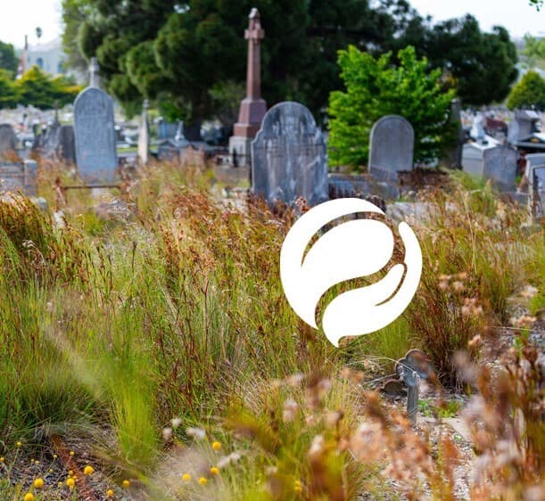 Project Cultivate grasses Oct243