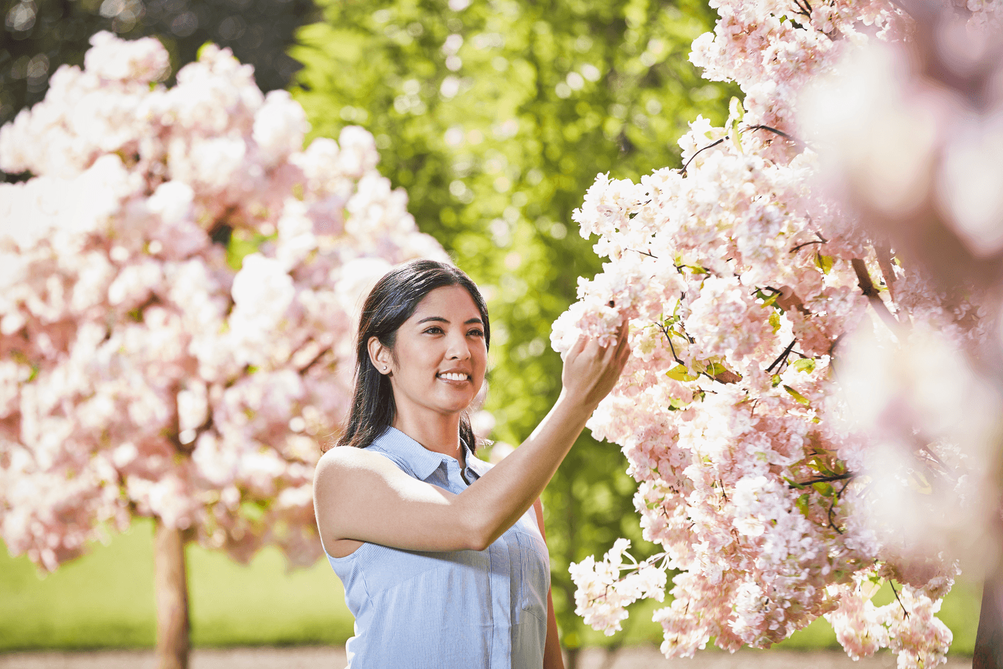Woman in a sleeveless blouse gently touches pink cherry blossoms in a sunlit garden.