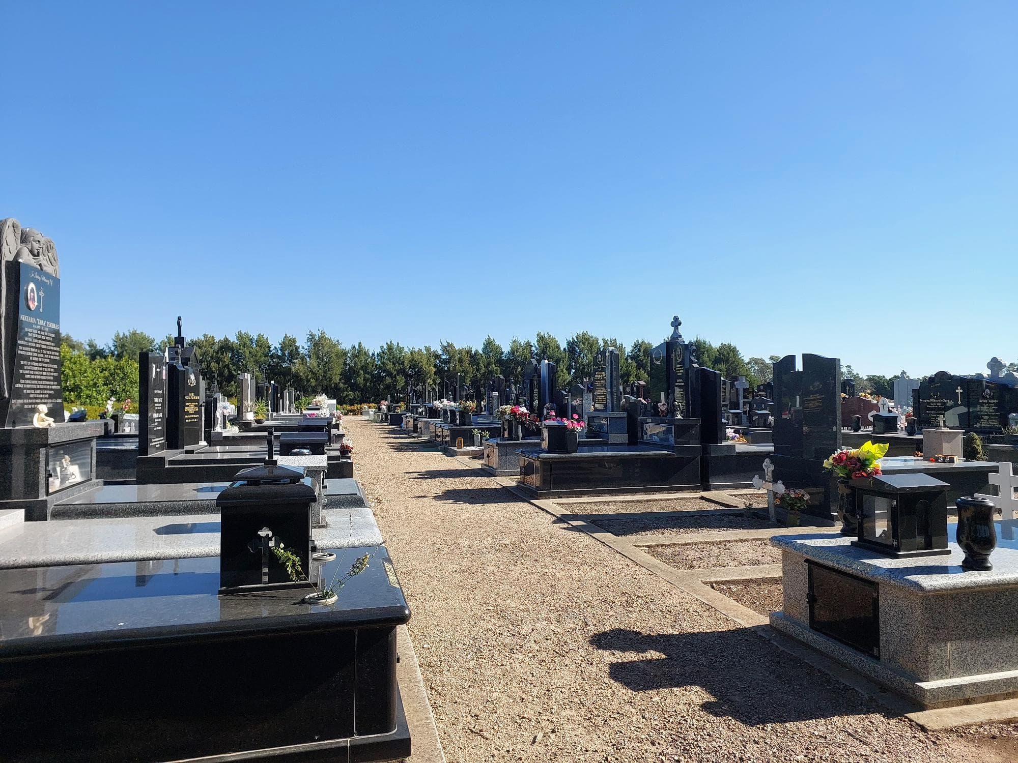 A serene cemetery scene with double rows of monumental graves under a clear blue sky. Green trees line the background.