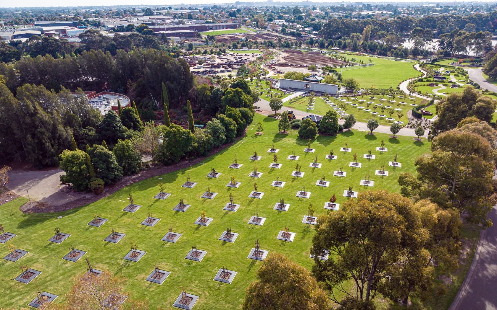 Aerial view of new cemetery area at Springvale Botanical Cemetery with neat rows of trees