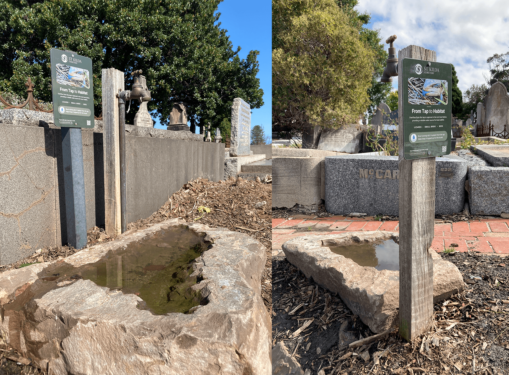 Tap to Habitat natural stone bowls at St Kilda Cemetery